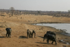 zimbabwe074